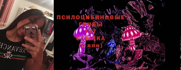 ГАЛЛЮЦИНОГЕННЫЕ ГРИБЫ Тихорецк