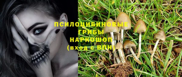 ECSTASY Нея