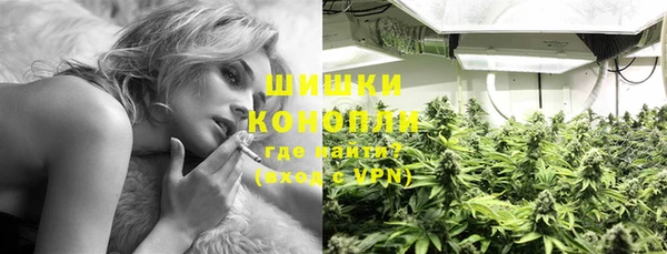 ГАЛЛЮЦИНОГЕННЫЕ ГРИБЫ Тихорецк