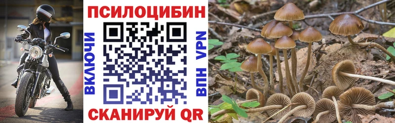 ОМГ ОМГ сайт Ардатов Псилоцибиновые грибы Psilocybine cubensis где можно купить